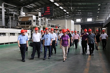 2018年9月12日，全國政協(xié)常委、提案委員會副主任郭庚茂、支樹平率領(lǐng)調(diào)研組蒞臨公司開展調(diào)研